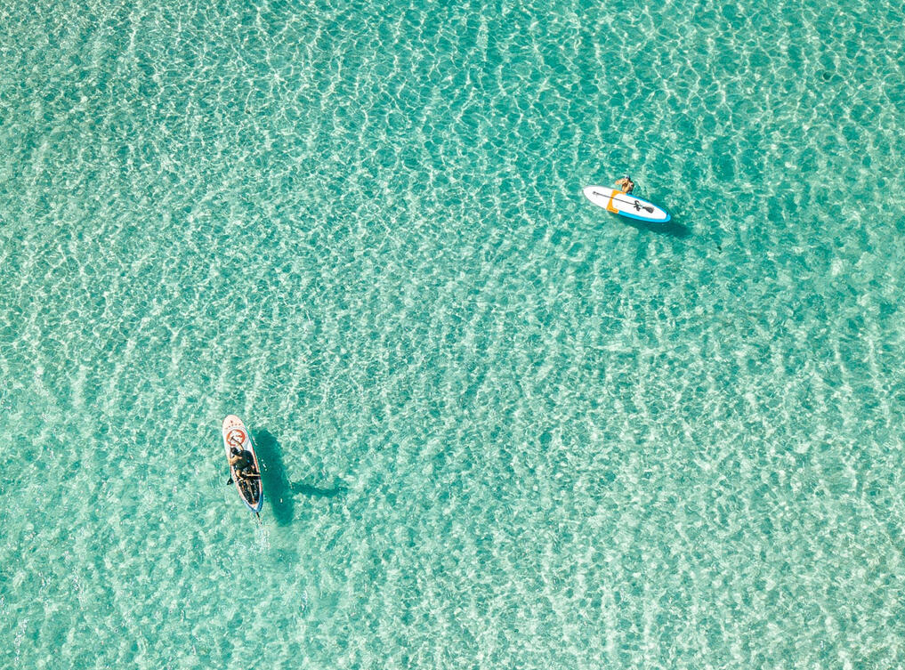 Actividades Únicas: Sumérgete en las aguas cristalinas con equipos de snorkel, paddle surf o el revolucionario seabob, una manera exclusiva de explorar la vida marina.