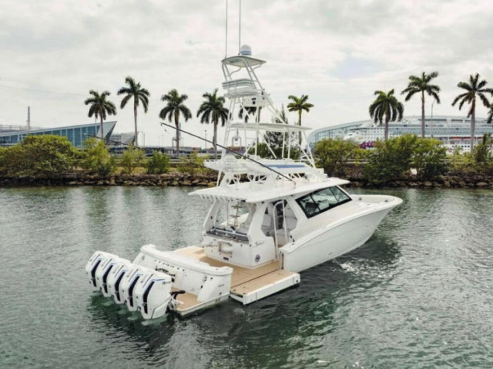 Transporte Premium: Transporte privado desde tu alojamiento, con bebidas frías incluidas para que tu experiencia comience desde el primer momento.