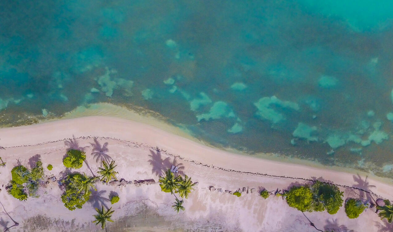 Bote y Destinos: Explora playas privadas y paraísos ocultos en Punta Cana a bordo de nuestra embarcación de lujo.